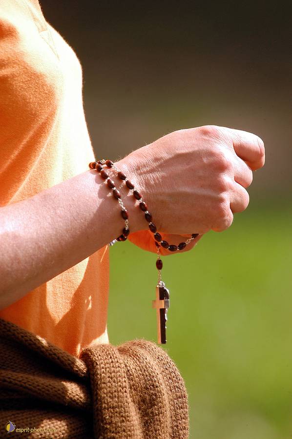 Nom de l'image : D1135018-01_(c)Norbert-JUNG — Description :